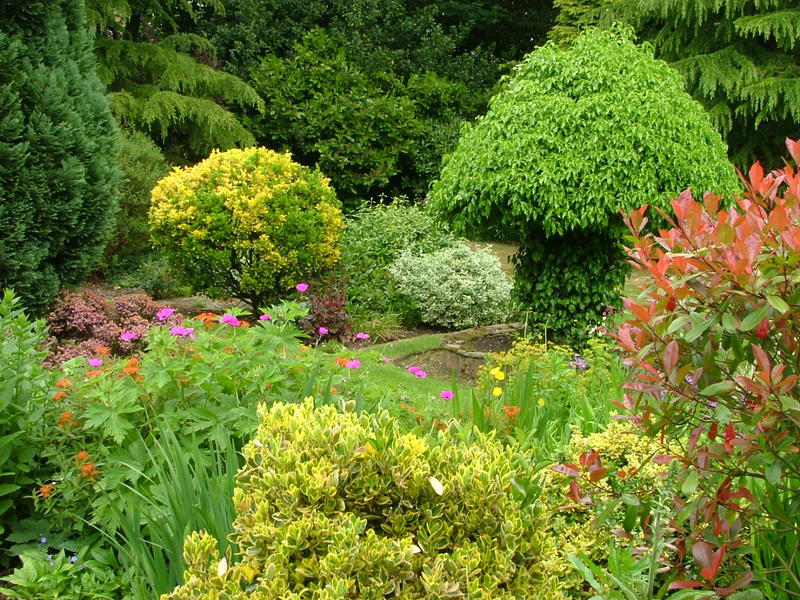 About Us | Raevallyne Horticultural Ltd