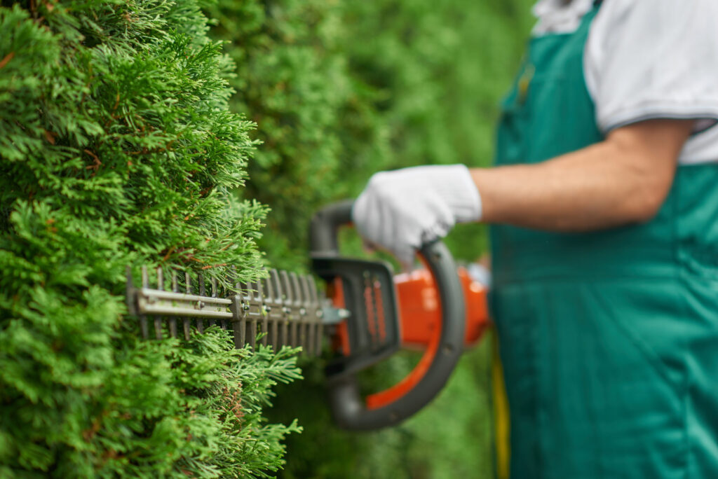 Hedge Maintenance Leeds